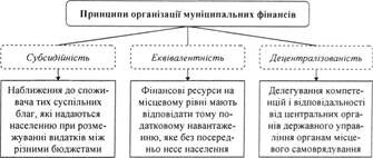 Науковий підхід до принципів організації муніципальних фінансів
